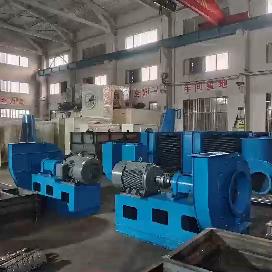 ������ò