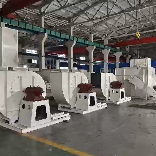 ������ò